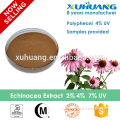 Echinacea Extract/Echinacea Purpurea Extract Powder